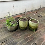 garden waste for removal and disposal