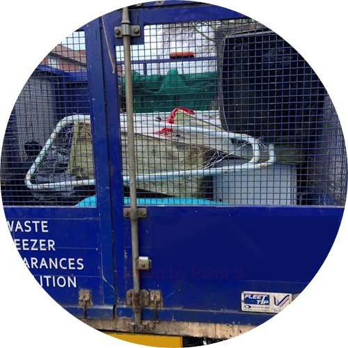 BinFlo waste management team and vehicle