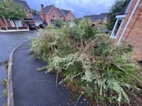 Garden waste - brambles etc.. collected by Rosemann house clearance