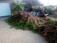 Conifer branches, hawthorn bra collected by N J Recycling Services