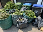 garden waste 5 big bags and some small black bags garden waste. KT10 - removed for £95