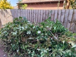 Garden tidy- branches/brambles Clearing overgrown garden: Tree branches, brambles, twigs and general garden waste. CB24 - removed for £360