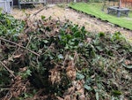 Garden waste Garden waste SM6 - removed for £150