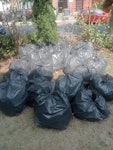 26 bags of garden waste 26 bags of garden waste NW11 - removed for £120