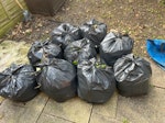 11 Bags Garden Waste by 23/8 Collection anytime wed to Fri 23/8, just give us some prior notice. 11 bags of garden waste. Not heavy, 10 plant trimmings and 1nr misc items watering can etc. Will be left in front garden with flat road access available through garden gate. W10 - removed for £60