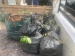 9 bags of garden leaves There are 9 or 10 rubbish bags that contain leaves and small twigs.  
You don’t need access to the house as the bags are already there in the front area & obvious. W3 - removed for £50