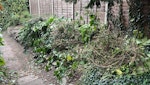 Garden waste from cutting back Mix of conifer and laurel cuttings. SL3 - removed for £100