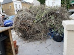 Garden & household waste Pile of compostable garden waste and 6 bags of household waste. Easy access. E8 - removed for £150