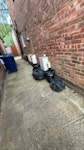 garden waste collection six bin bags containing garden waste to collect W3 - removed for £50