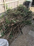 garden waste 20 sacks of grass cuttings and bush trimmings plus tree branches ME5 - removed for £150