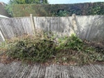 Garden waste Garden waste containing leaves and branches needing collection TW15 - removed for £80