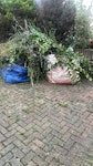 Garden wast Garden waste KT5 - removed for £150