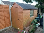 Old garden shed (dismantled) Old garden shed (shiplap). Treated wood. It will be dismantled before collection.
4 walls 1.6m x 2.1m
2 roof panels 1.0m x 2.1m (with felt)
1 floor 1.5m x 2.1m
To be taken through terraced house, front door and back door are in a straight line. Regular door size. I can help carry the panels to your van.
Collection no later that 12 noon. OX3 - removed for £150