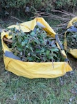 Garden waste, brabble and bush Bramble and bush

All plant matter - no soil GU46 - removed for £150