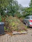 Garden waste Garden waste, mostly tree branches L40 - removed for £200