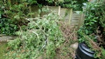 Garden waste - branches etc Cut branches and bushes that need removal from the back of the garden. Easy access via side gate. The branches a variety of sizes and lengths, some cutting maybe required. WD3 - removed for £245