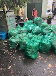 Garden waste & junk From pavement towards the house, all on drive with easy access. Staff are only at hostel during times indicated. 
Approx 50 green garden waste sacks, lots of mostly metal & wood broken furniture & bits, an old bike, 2 x black bag general rubbish then about 10 recycle bags SW19 - removed for £175