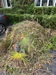 garden waste branches and leaves HA6 - removed for £125