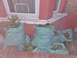 11 small bags of garden waste 11 small bags of garden waste. Sticks and branches exclusively E15 - removed for £50