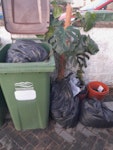 mixed waste contents of wheelie bin, green waste, soil in bags, plastic pots, plant in black bag, BN10 - removed for £75