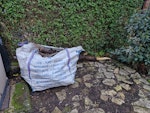 Bag of tree branches and trunk Bag of tree branches and trunk NW10 - removed for £60