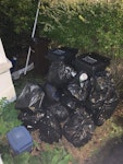 17 rubbish bags & curtain pole 17 bin bags and a curtain pole E5 - removed for £45