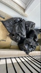 garden waste and soil 12 black plastic bags of soil and garden waste SW3 - removed for £100