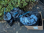 4bags of general waste 4 bags of general waste HA9 - removed for £50