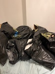 10 bin bags full of cardboard 10 bin bags full of cardboard N1 - removed for £45