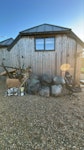 Wood pallet, chair & rubbish 1x wood pallet, wood and brick pieces, 1x office chair, several bags of recyclables(sorted) and plastic. Easy access, rubbish is directly on large personal driveway. RG10 - removed for £175