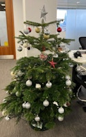 7ft Christmas tee collected by Hullk Removals