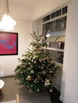 6ft christmas tree 6ft Christmas tree OX28 - removed for £30