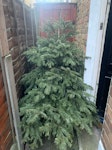 Christmas tree to be collected Christmas tree needs collecting E17 - removed for £40