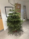 8ft Christmas tree 8ft Christmas tree SW2 - removed for £40