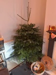 5ft christmas tree 5ft christmas tree YO10 - removed for £35