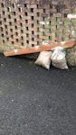 2 BAGS RUBBLE, ONE FENCE POST 2 BAGS RUBBLE, ONE FENCE POST BS34 - removed for £65