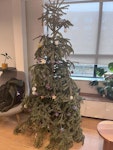 Christmas tree Need to remove Christmas tree E2 - removed for £50