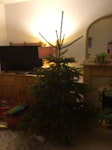 Christmas tree 6 ft Christmas tree HG1 - removed for £35