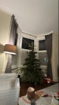 6 feet Christmas tree 6 feet Christmas tree collect from ground floor flat NW6 - removed for £40