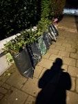 green waste garden waste. about 25 rubble sacks of waste below the green waste branch SW12 - removed for £150