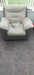 Reclining chair A reclining chair without a fire label so charities won't accept it. DN14 - removed for £50