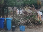 Large pile of tree branches Large pile of tree branches out the front of house. GU14 - removed for £300