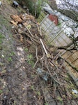 Garden waste Hi, we've cleared loads of stuff from our garden, mostly tree branches, but also bits of old sheds, random bricks and some rubble from a small concrete shed base. We have side access to the garden. CR4 - removed for £350