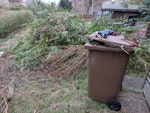 Hedge trimmings Just a big pile of hedge trimmings EH11 - removed for £190