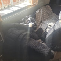 3 seater sofa ×1 collected by Trashbash