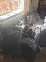 3 seater sofa ×1 collected by Trashbash