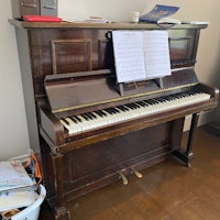 Upright piano collected by Trashbash