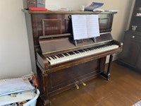 Upright piano collected by Trashbash
