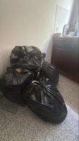 4 bin bags collected by M&V waste Clearance