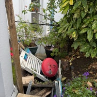 Garden Waste Clearance collected by Mr Trash London
